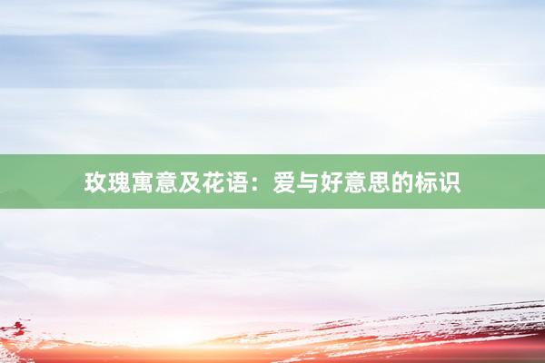 玫瑰寓意及花语：爱与好意思的标识