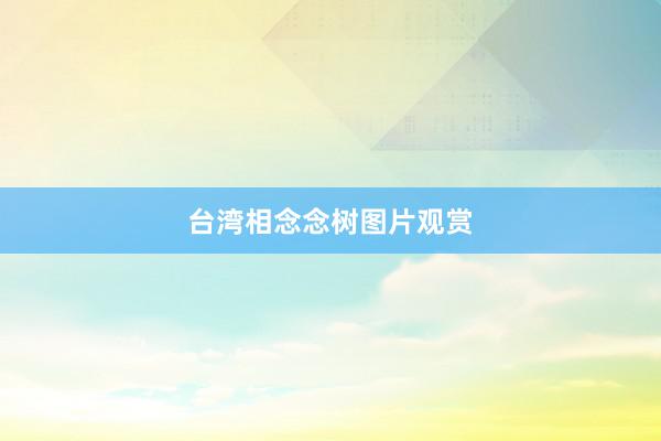 台湾相念念树图片观赏