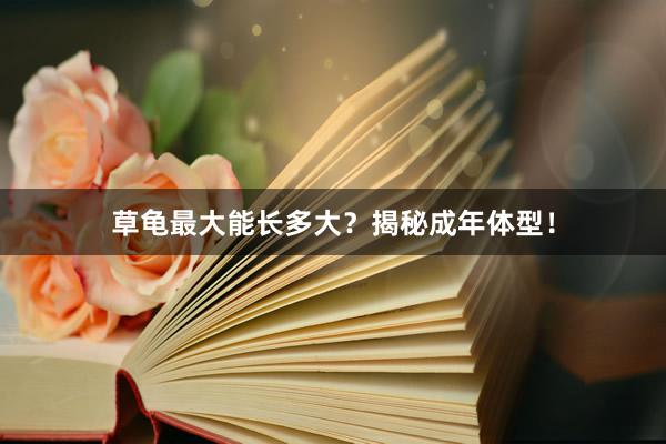 草龟最大能长多大？揭秘成年体型！