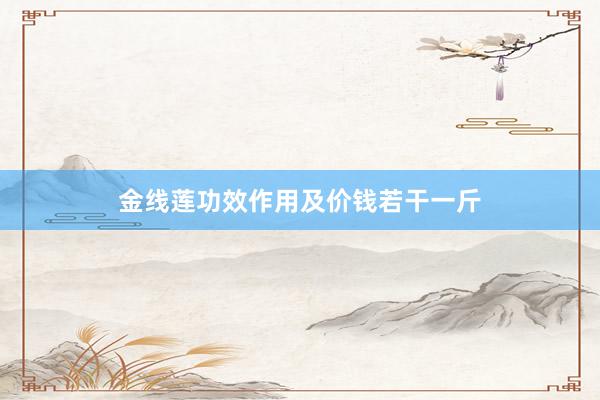 金线莲功效作用及价钱若干一斤